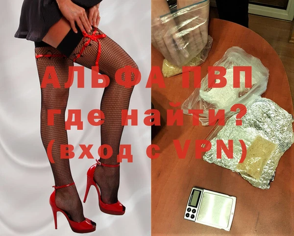 амф Новодвинск