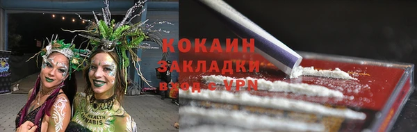 амф Новодвинск